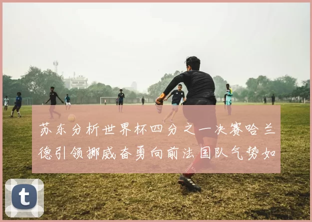 苏东分析世界杯四分之一决赛哈兰德引领挪威奋勇向前法国队气势如虹