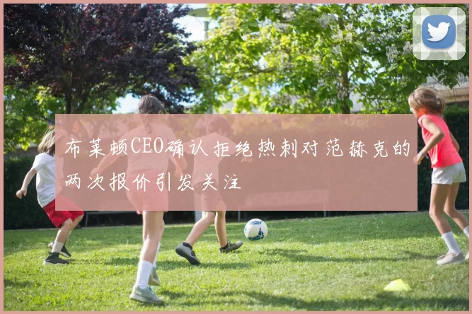 布莱顿CEO确认拒绝热刺对范赫克的两次报价引发关注